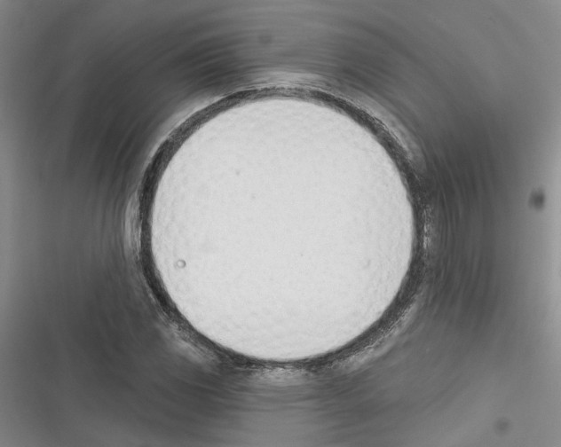 X0000116381117201001131803