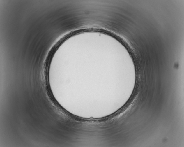 X0000116381118201001131803