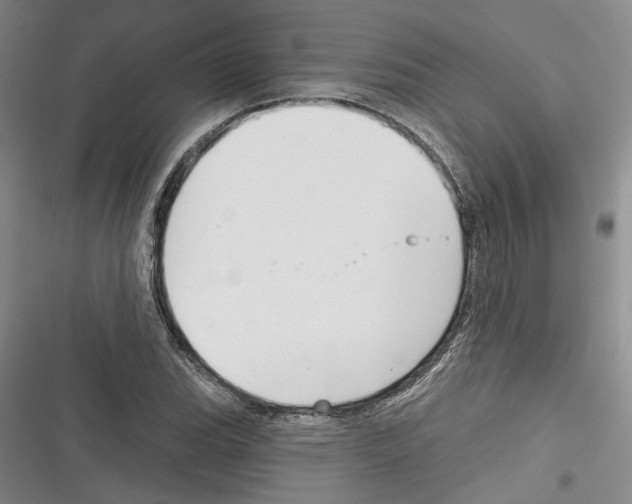 X0000116381119201001131803