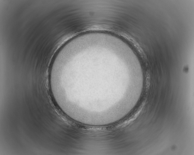 X0000116381121201001131803