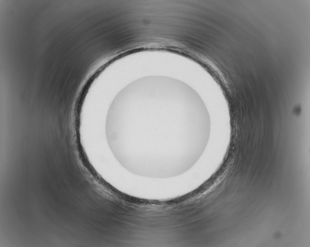 X0000116381122201001131803