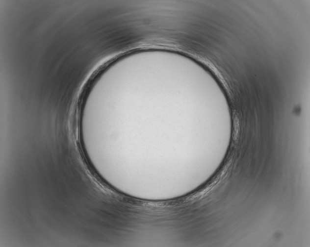 X0000116381123201001131803