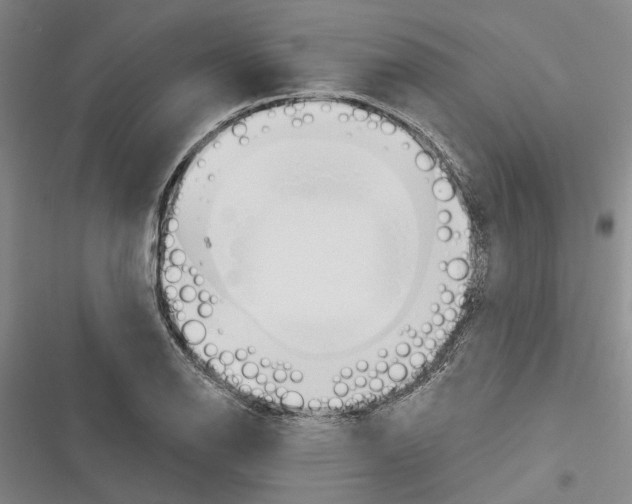 X0000116381126201001131803