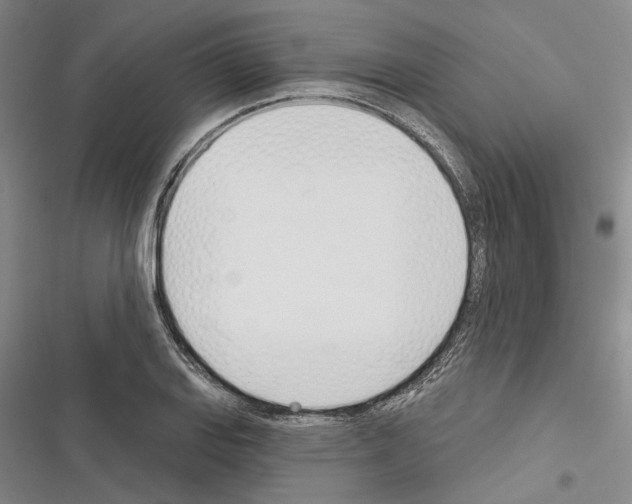 X0000116381127201001131803