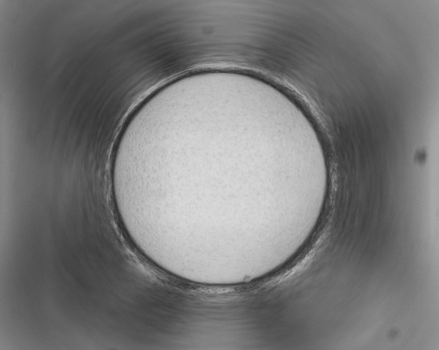 X0000116381129201001131803