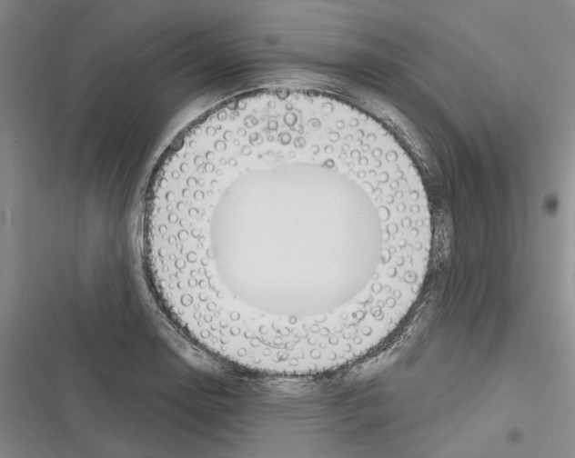 X0000116381130201001131803