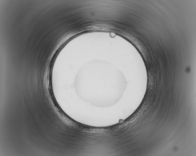 X0000116381131201001131803