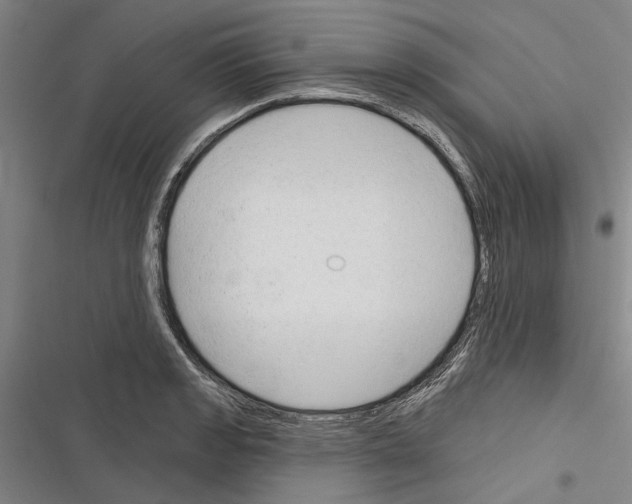 X0000116381133201001131803