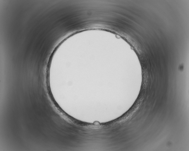 X0000116381134201001131803
