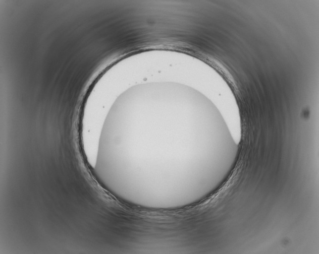 X0000116381138201001131803