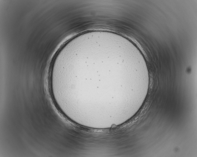 X0000116381139201001131803