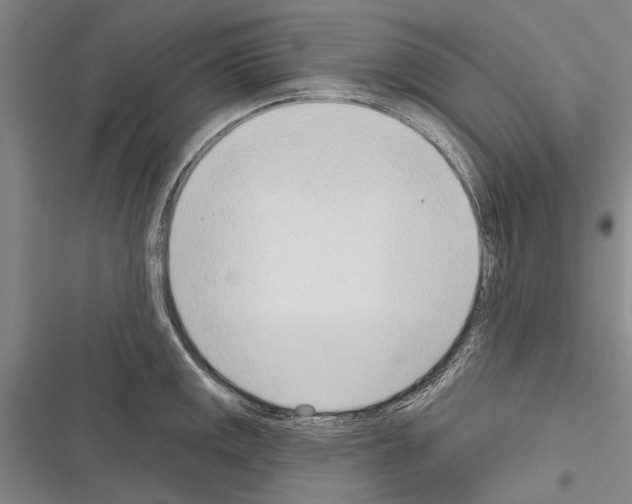 X0000116381141201001131803