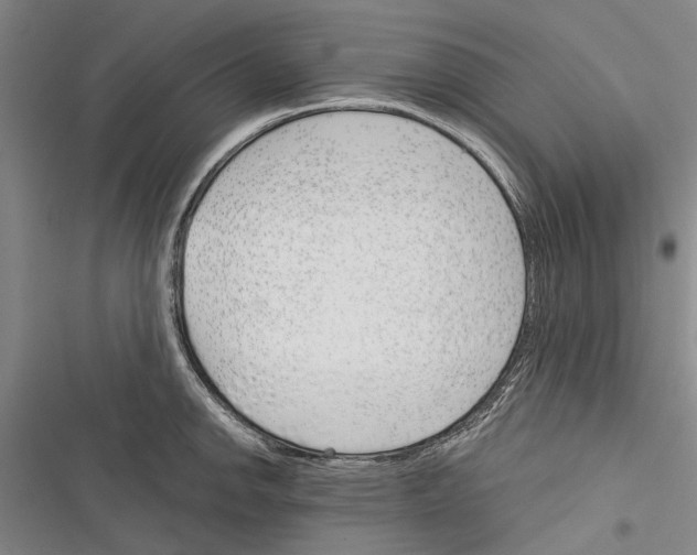 X0000116381142201001131803