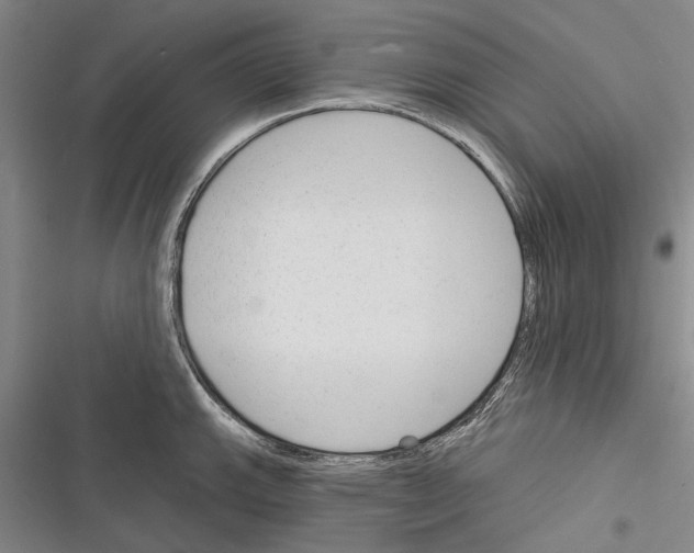 X0000116381143201001131803