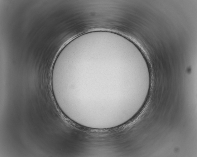 X0000116381145201001131803