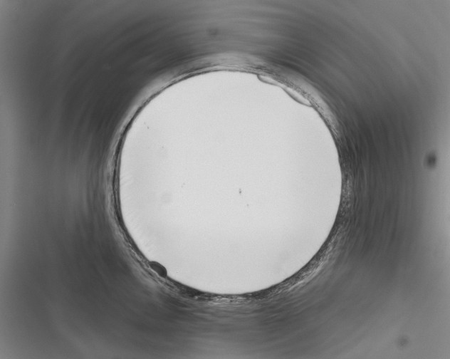 X0000116381146201001131803