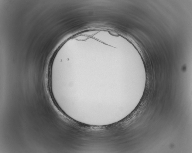 X0000116381147201001131803