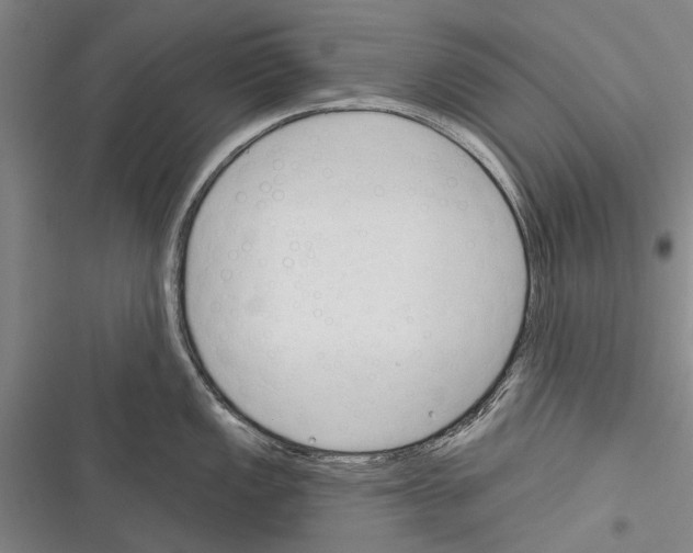 X0000116381149201001131803