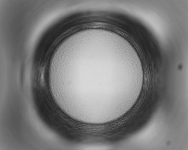 X0000116381150201001131803