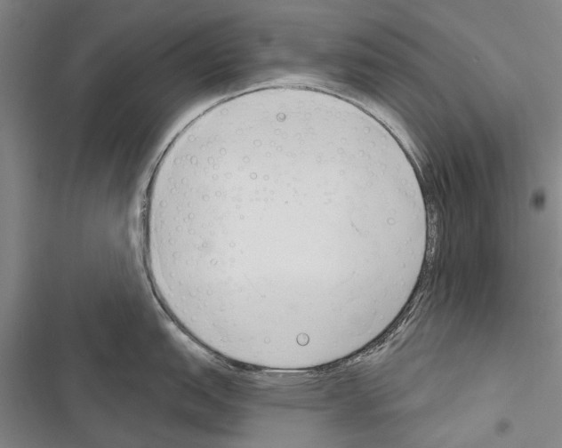 X0000116381151201001131803