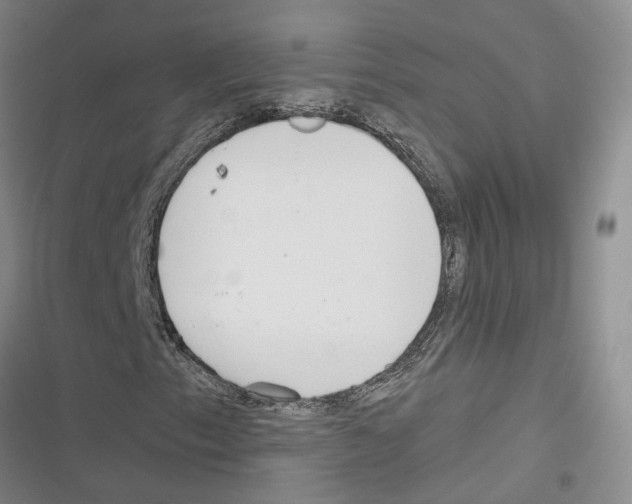 X0000116381153201001131802