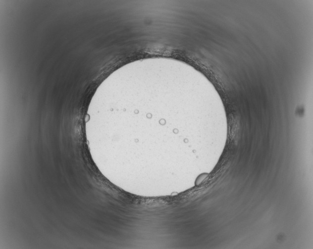 X0000116381154201001131802