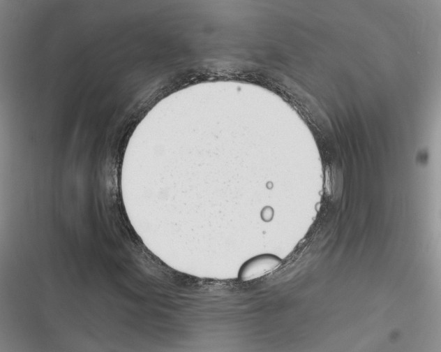 X0000116381155201001131802