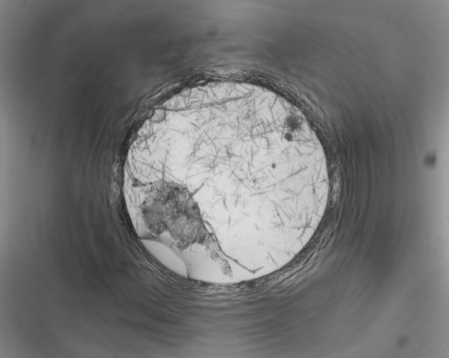 X0000116381156201001131802