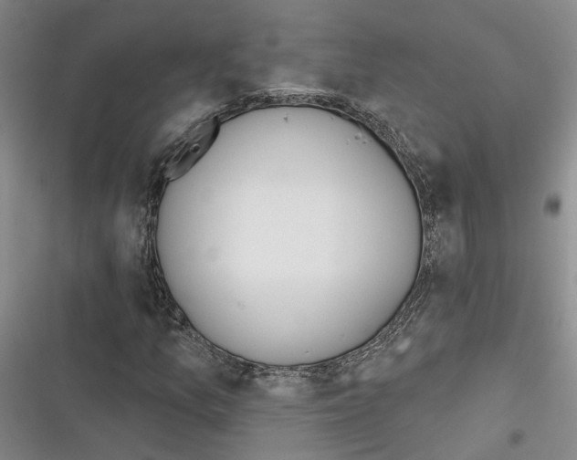 X0000116381157201001131802