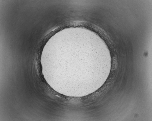 X0000116381158201001131802