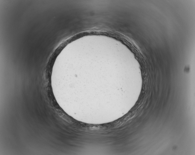 X0000116381160201001131802