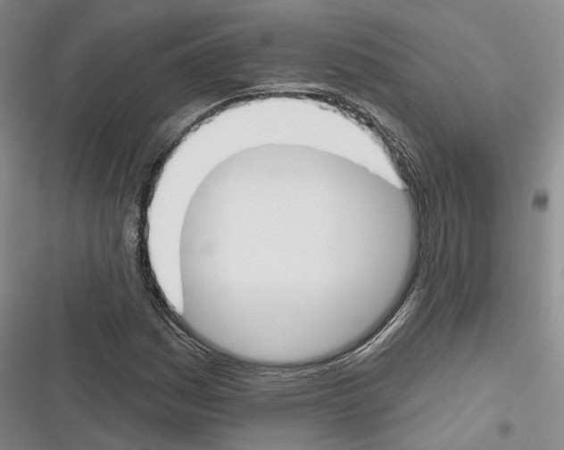 X0000116381161201001131802