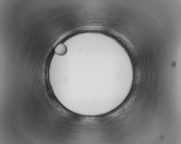 X0000116381162201001131802
