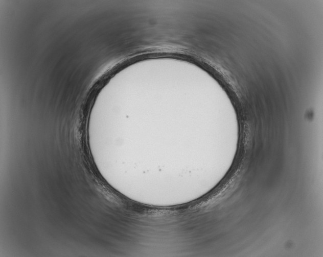 X0000116381163201001131802