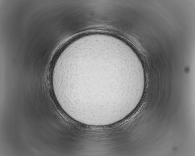 X0000116381164201001131802