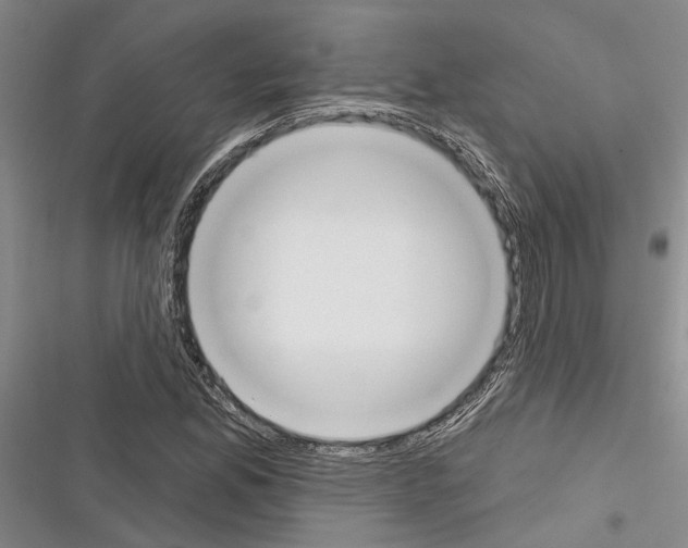 X0000116381165201001131802