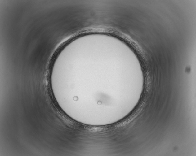 X0000116381166201001131802