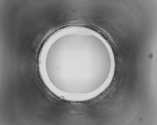 X0000116381168201001131802