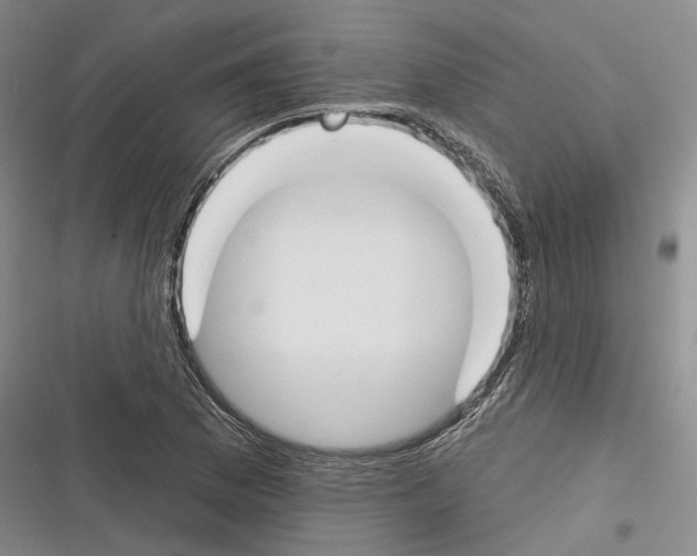 X0000116381169201001131802