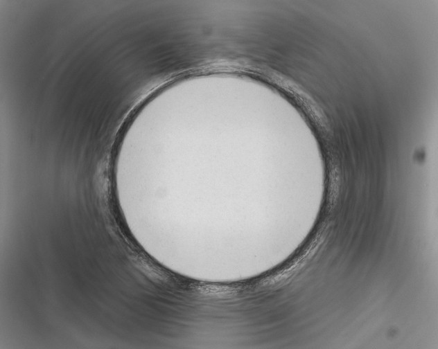 X0000116381170201001131802