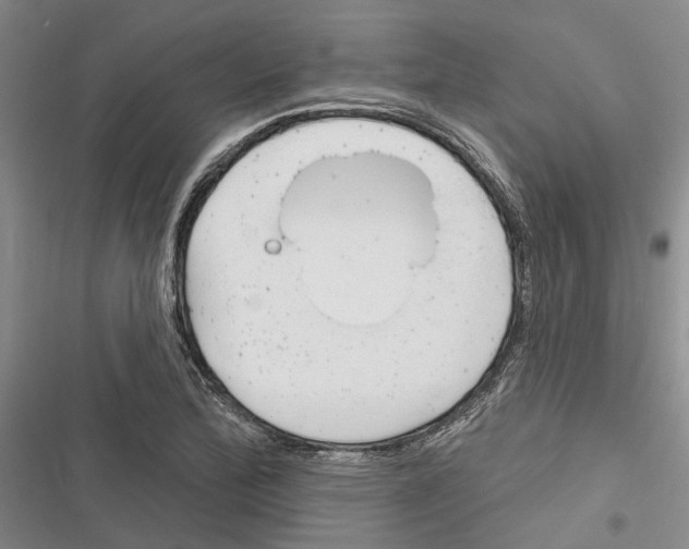 X0000116381172201001131802