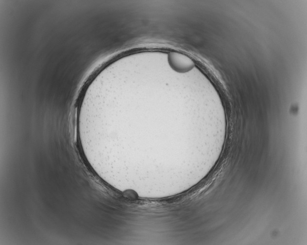 X0000116381175201001131802