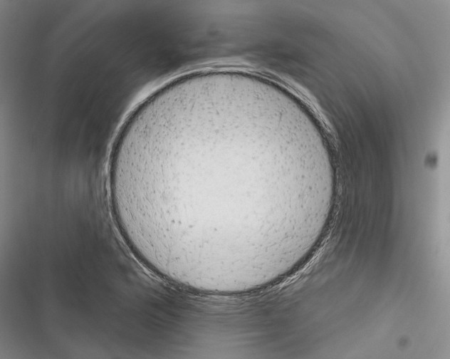 X0000116381176201001131802