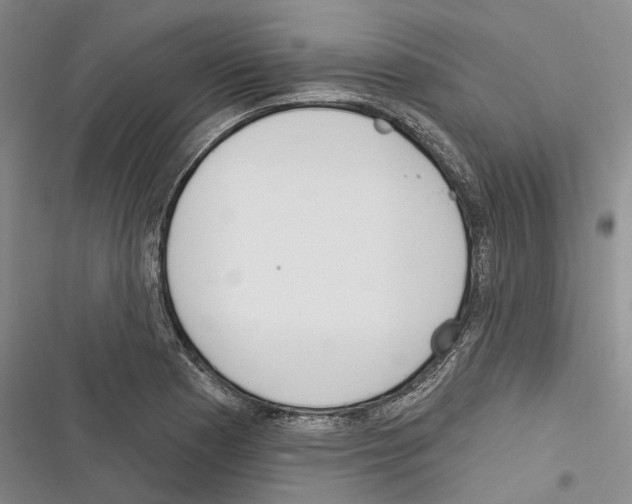 X0000116381177201001131802