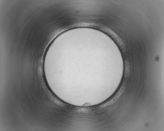 X0000116381178201001131802