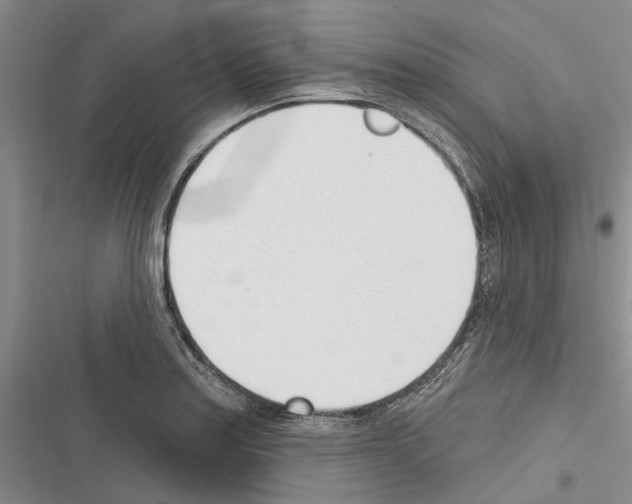 X0000116381179201001131802