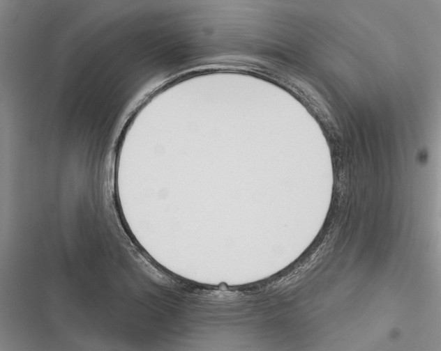 X0000116381180201001131802