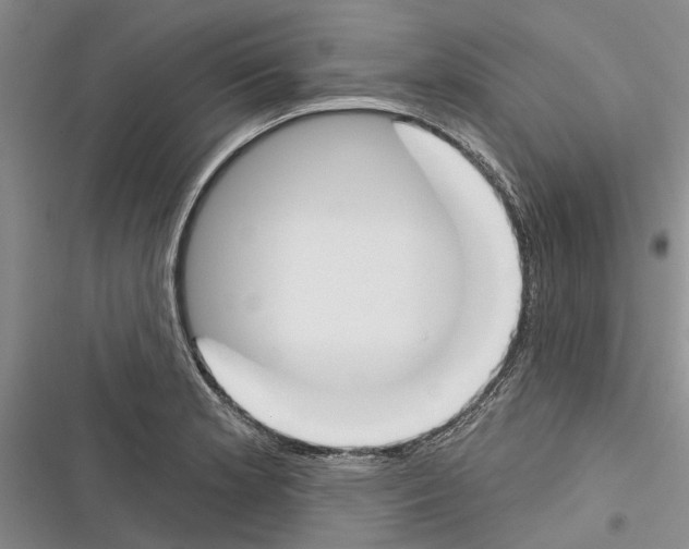 X0000116381181201001131802