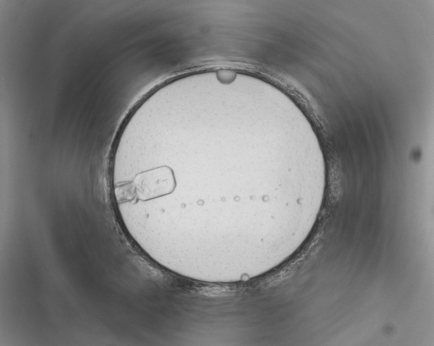 X0000116381182201001131802