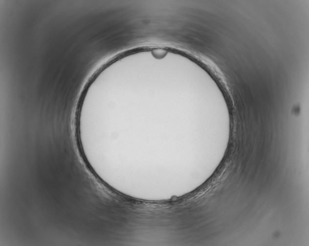 X0000116381183201001131802